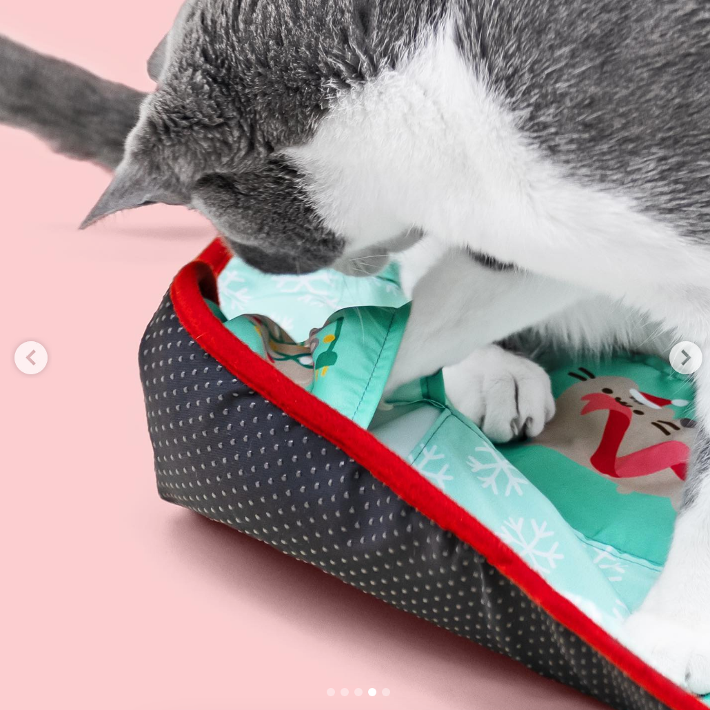 Holiday Cat Play Mat