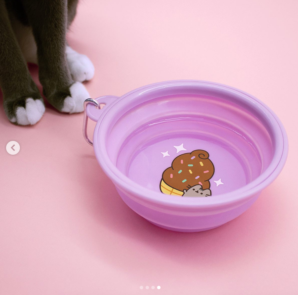 Purple Collapsible Cat Bowl