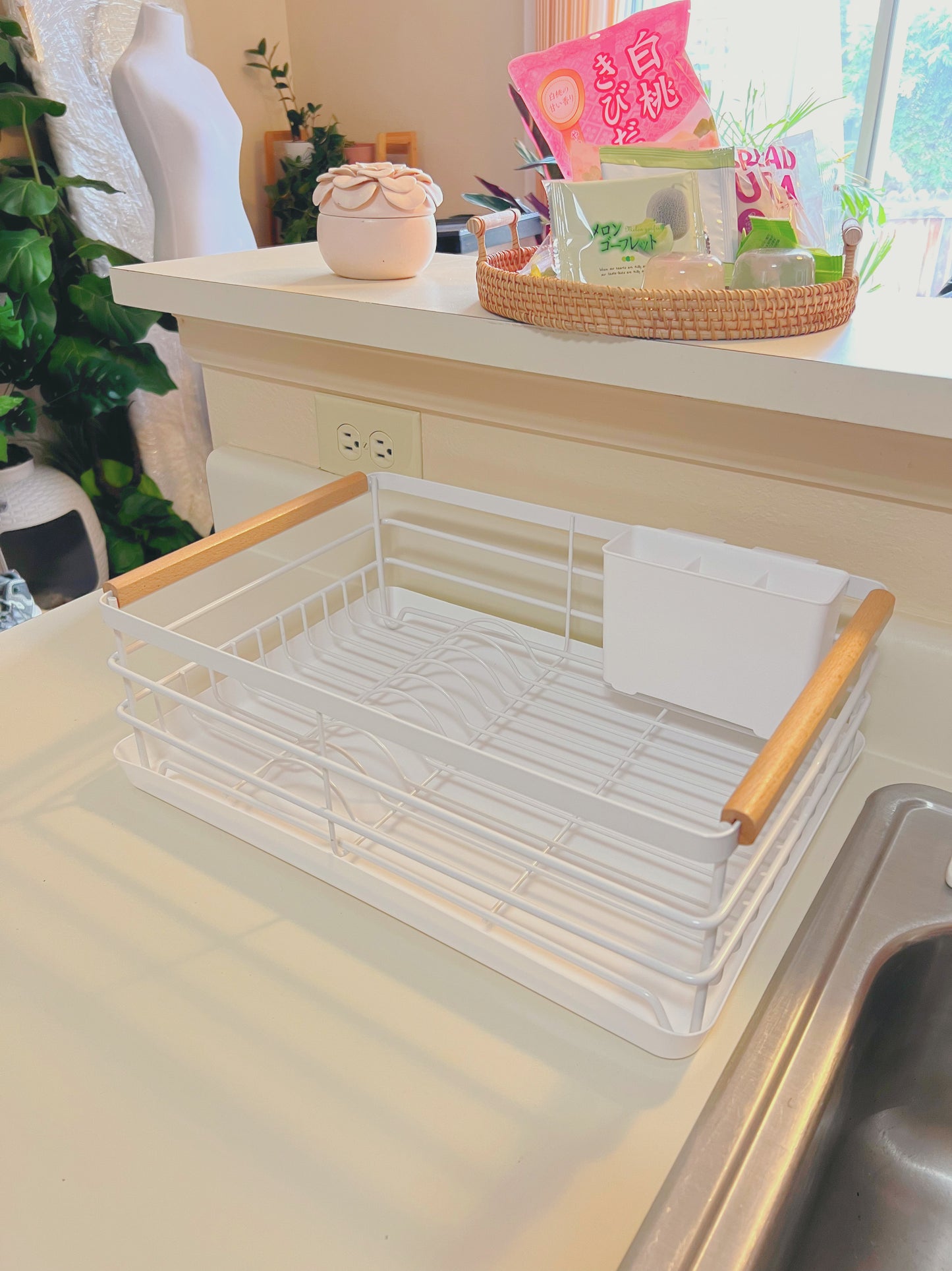 White Metal Dish Rack