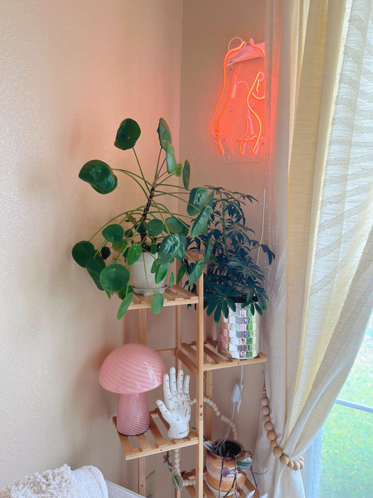 Pink Mushroom Lamp