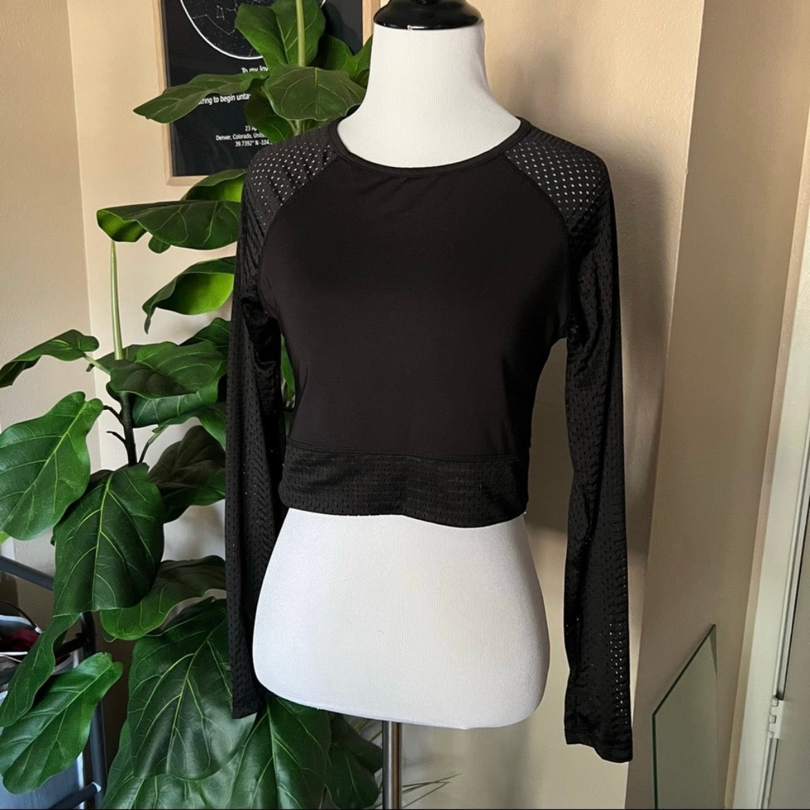 Black Mesh Crop Top