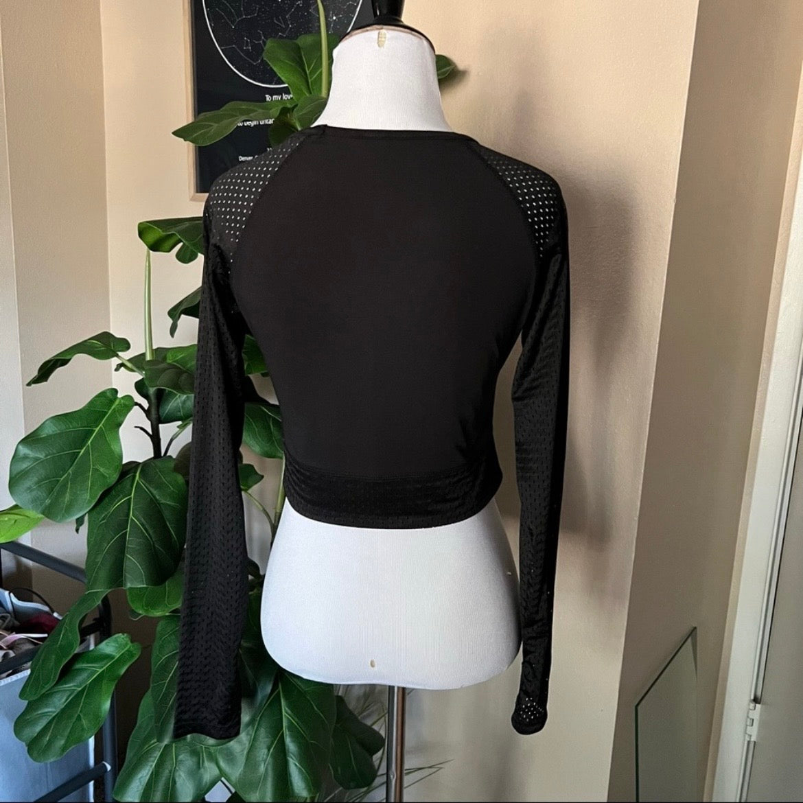 Black Mesh Crop Top