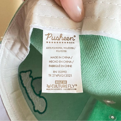 Pusheen Mint Greeen Hat