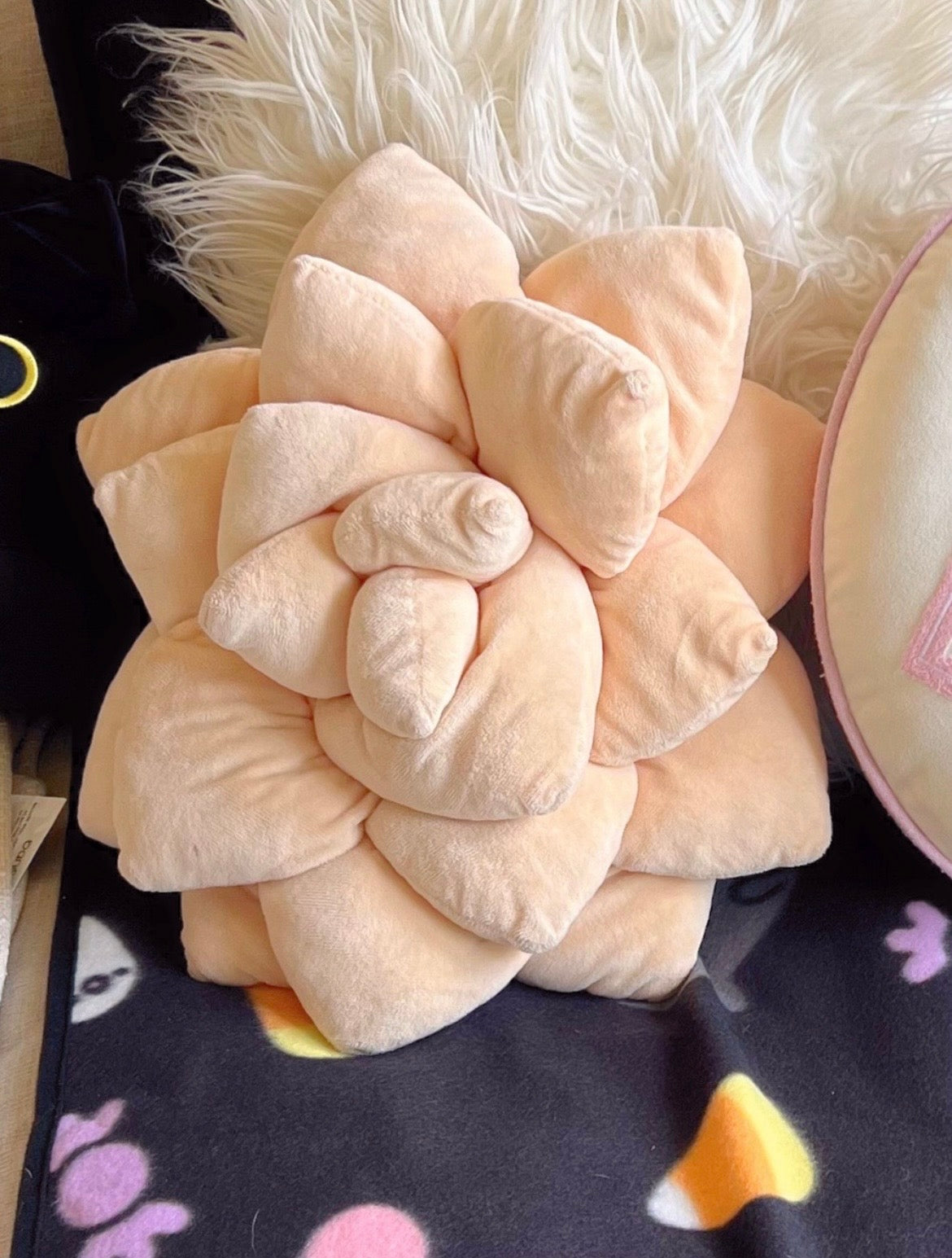 Peach Succulent Pillow