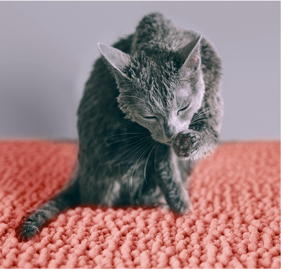 Plush Pink Pet Litter Mat