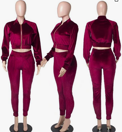 Burgundy Velour Crop Jogger Set