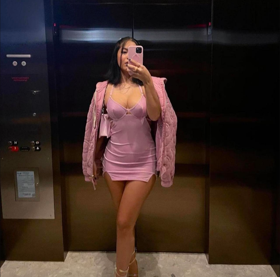 Brigitte Velvet Dress in Light Pink