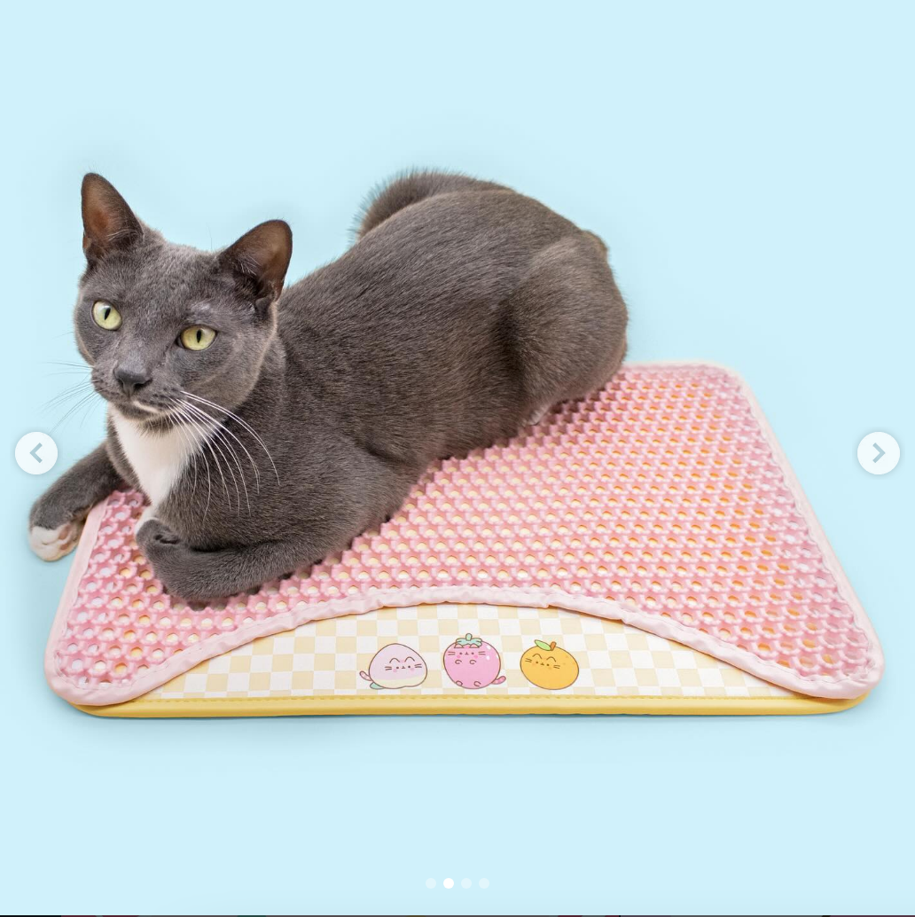 Pusheen Pink Cat Litter Mat