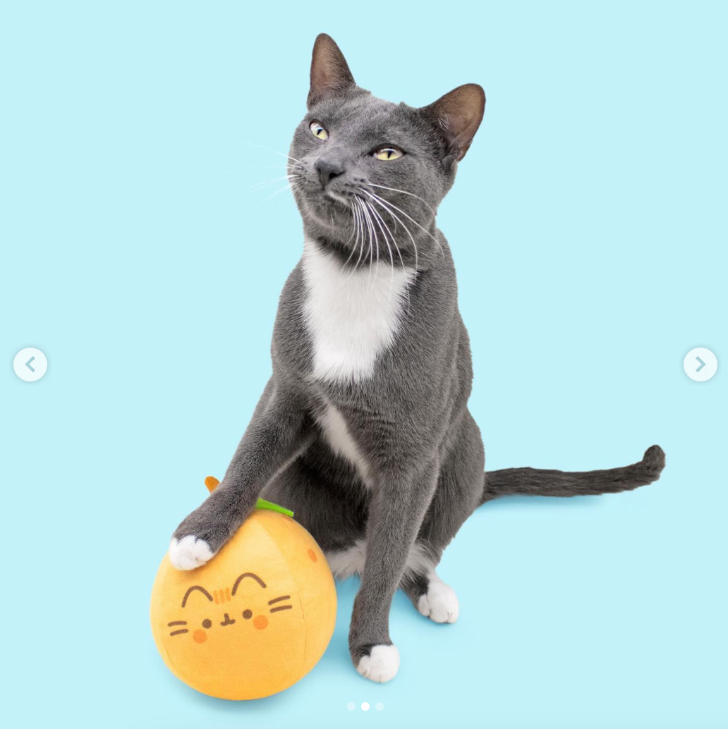 Plush Orange Fruit Cat Toy