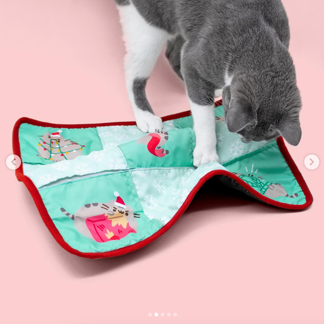 Holiday Cat Play Mat