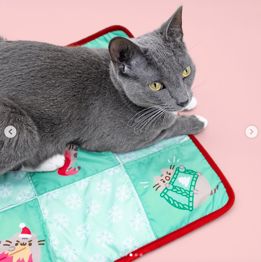 Holiday Cat Play Mat