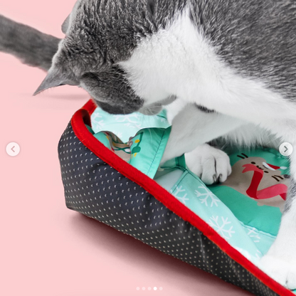 Holiday Cat Play Mat
