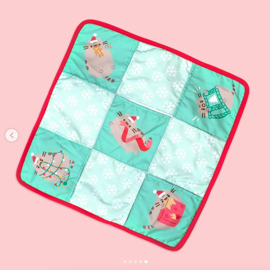 Holiday Cat Play Mat