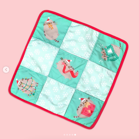 Holiday Cat Play Mat
