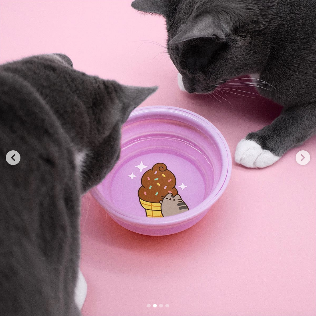 Purple Collapsible Cat Bowl