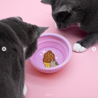 Purple Collapsible Cat Bowl