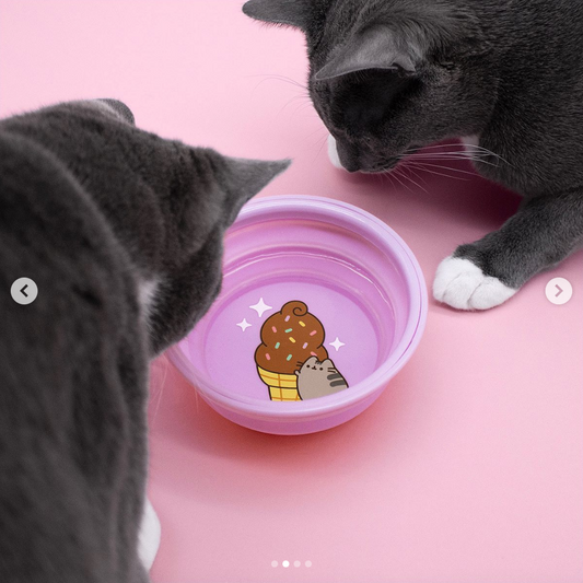 Purple Collapsible Cat Bowl