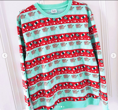 Mint Green and Red Christmas Sweater
