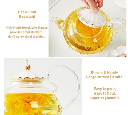 Elegant Glass Teapot