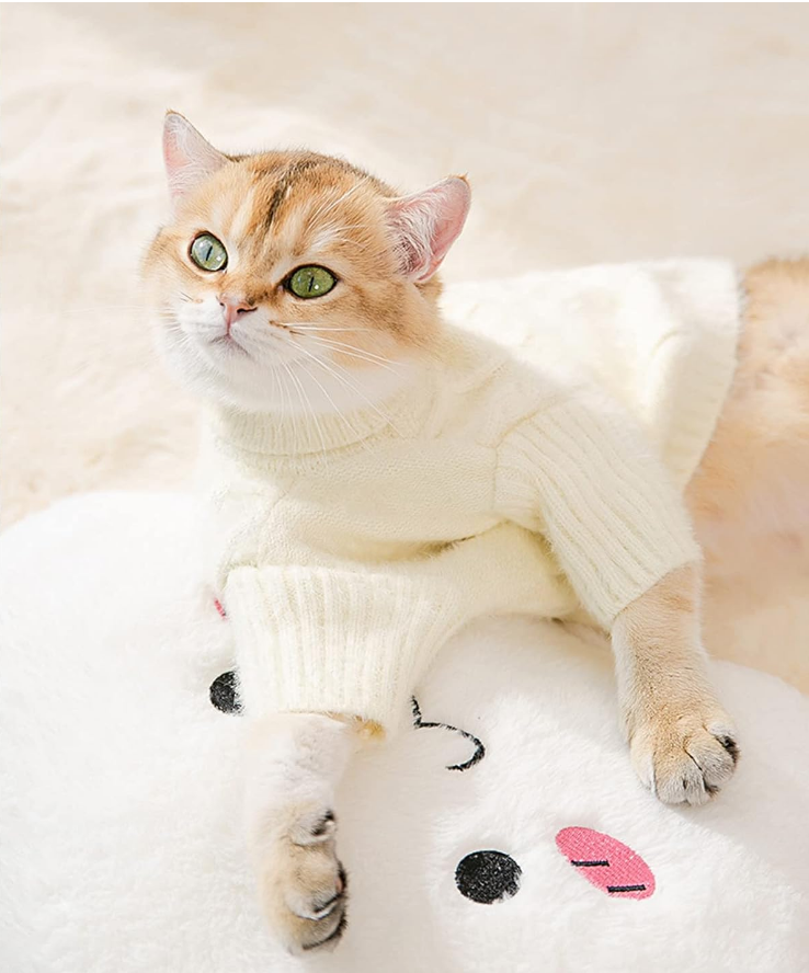 Cream Cable-Knit Pet Sweater