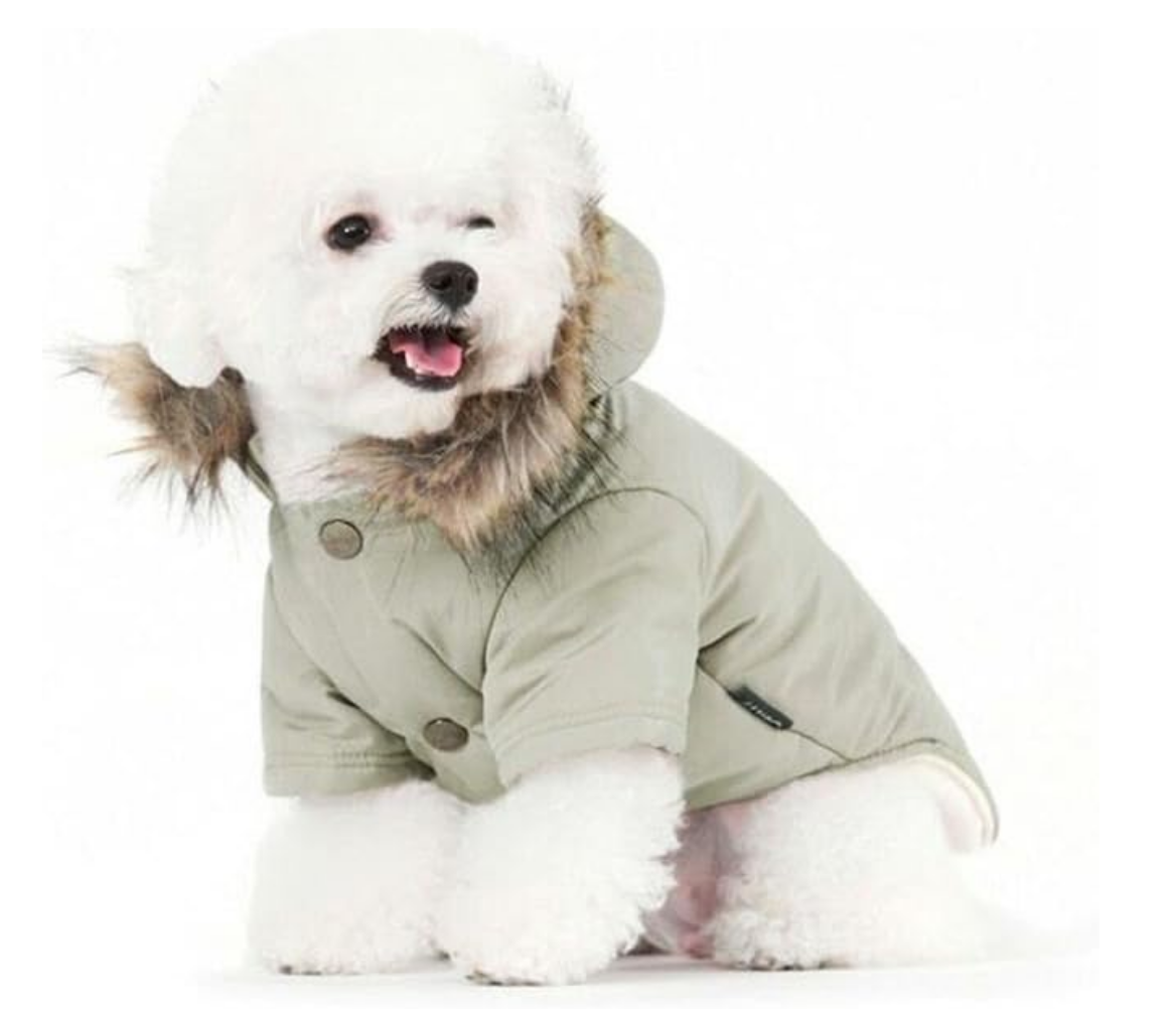 Pet Hooded Puffer Jacket