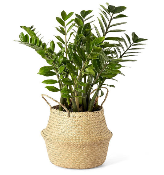 Seagrass Planter Basket