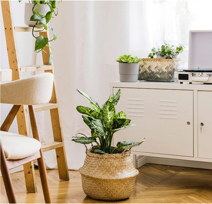 Seagrass Planter Basket